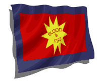 flag 2